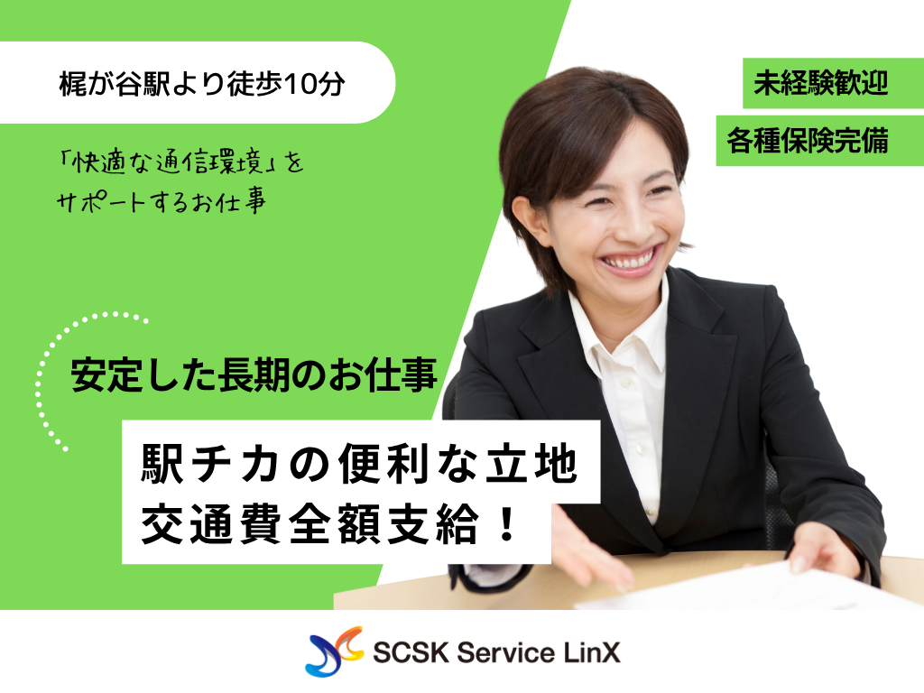 【川崎市】家電量販店でのauスタッフ